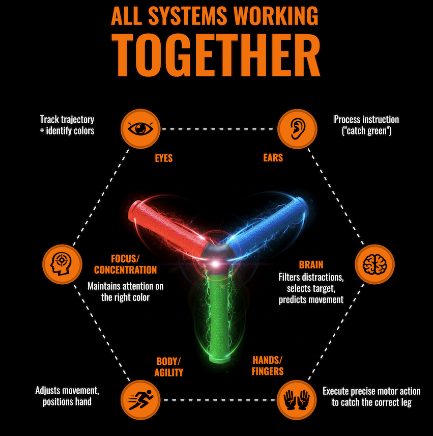 Hecostix Hand Eye Training