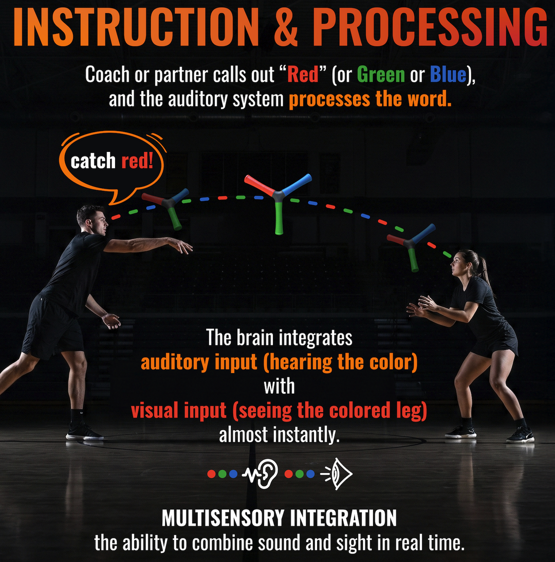 Hecostix Hand Eye Training